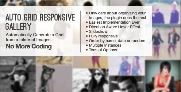 45258  Auto Grid Responsive Gallery