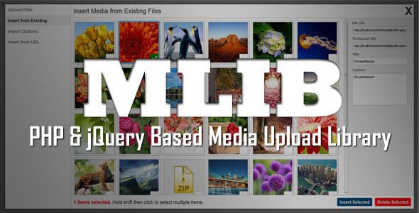 45483  mLIB - PHP & jQuery based media upload library