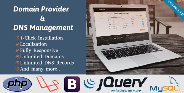 45547  Domain Provider & DNS Management