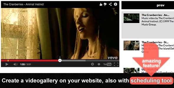 45680  YouTube Vimeo Video Gallery Scheduling