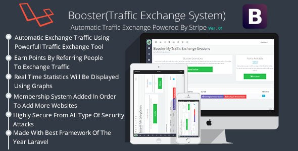 45711  Booster Traffic Exchange System
