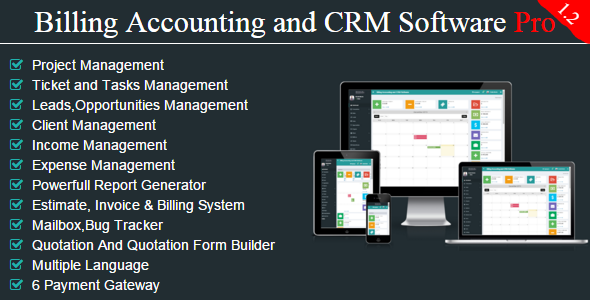 45835  Project Manager With Billing Accounting CRM PRO