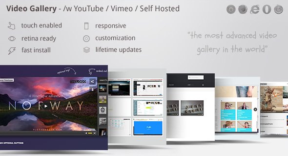 46544  Video Gallery Wordpress Plugin /w YouTube, Vimeo v9.69