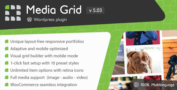 46729  Media Grid v5.03 - Wordpress Responsive Portfolio