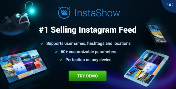 47122  Instagram Feed v2.5.2 - WordPress Gallery for Instagram