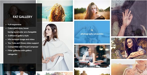 48062  FAT Image Gallery For Wordpress v1.23