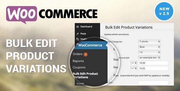 48270  Woocommerce Bulk Edit Product Variations & Prices v2.7