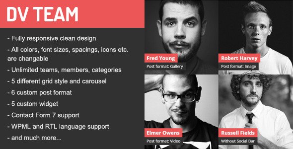 49189  DV Team v1.7.1 - Responsive Team Showcase Plugin
