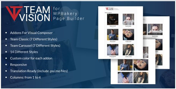 49431  Teamvision v1.0 - Team Addons for WPBakery Page Builder