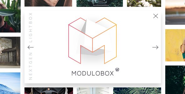 49902  ModuloBox v1.5.0 - NextGen Lightbox Plugin for WordPress
