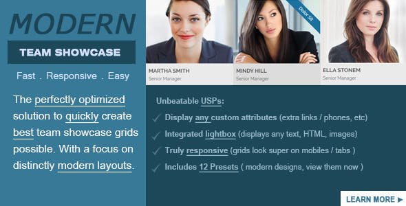 51578  Modern Team Showcase v2.5.0 - WordPress Plugin