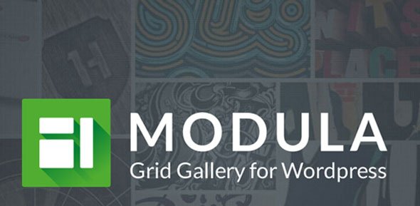 53450  Modula Pro v2.2.3 - Best WordPress Image Gallery