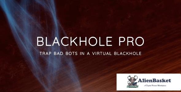 62840  Blackhole Pro v3.3 - Trap Bad Bots In a Virtual Blackhole