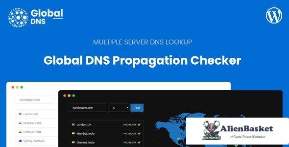 55744  Global DNS v1.3.0 - Multiple Server - DNS Propagation Checker - WP