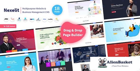 58142  Nexelit v3.0.1 - Multipurpose Website & Business Management System CMS - 
