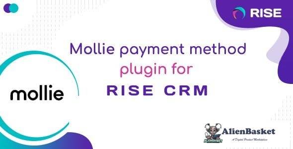 60661  Mollie payment method for RISE CRM v1.0
