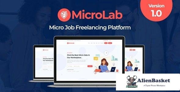 61216  MicroLab v1.0 - Micro Job Freelancing Platform - 