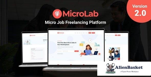 63971  MicroLab v2.0 - Micro Job Freelancing Platform - 