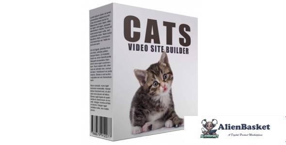 New Cats Video Site Builder-1477