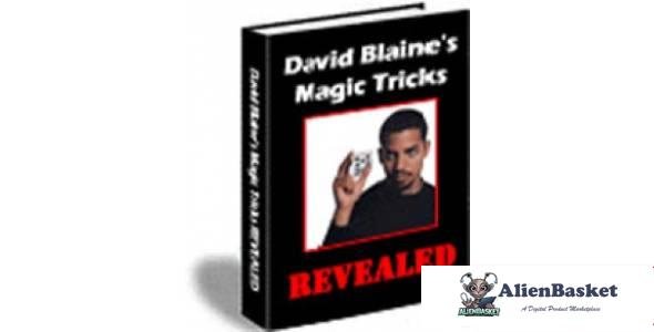 David Blaine's Magic Tricks Revealed-5259