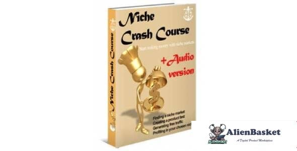 Niche Crash Course +Audio Version-2642