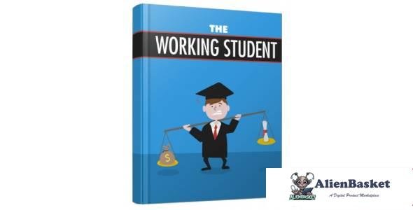 The Working Student-2048