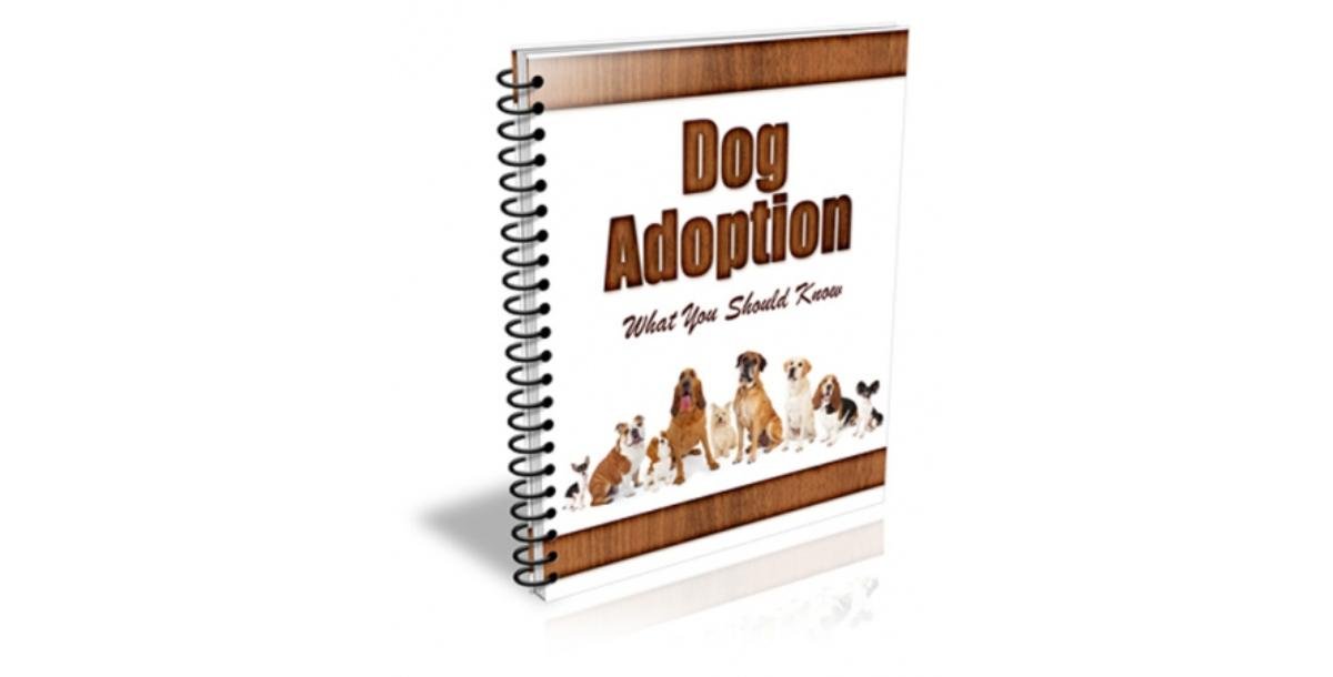 New Dog Adoptation PLR Newsletter-4581