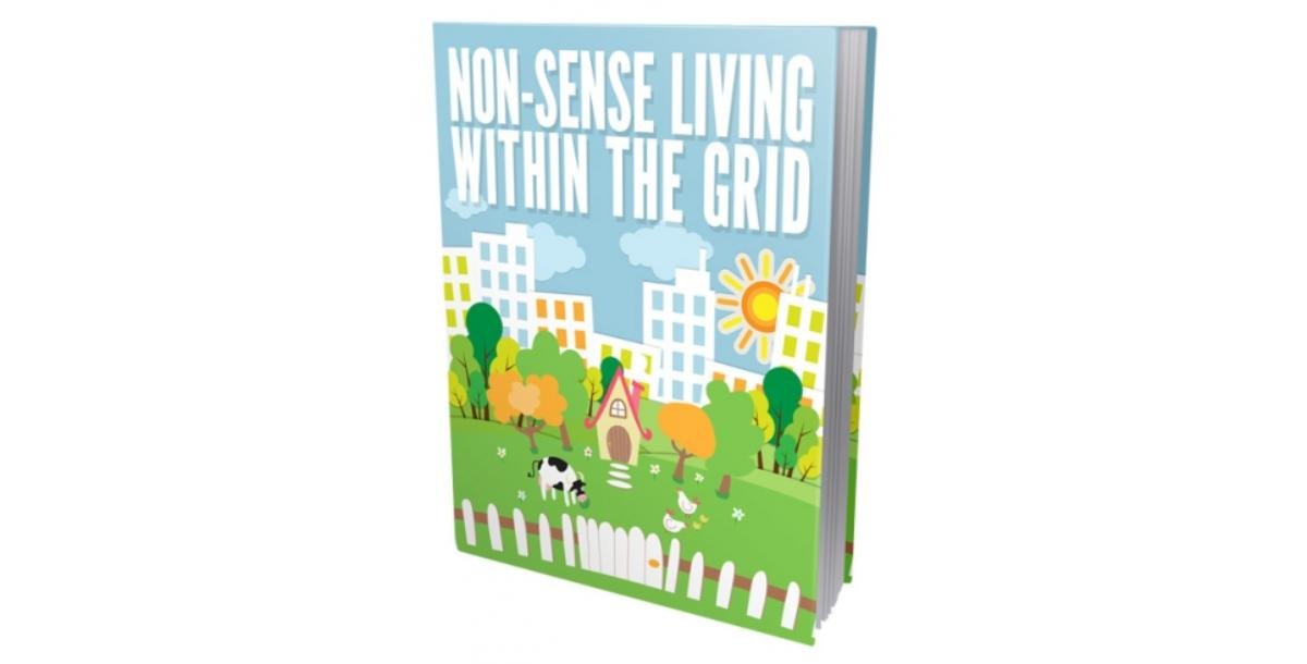 Non Sense Living Within The Grid-7062