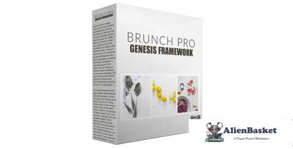 Brunch Pro Genesis FrameWork-7528