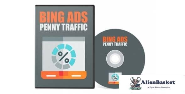 Bing Ads Penny Traffic-319