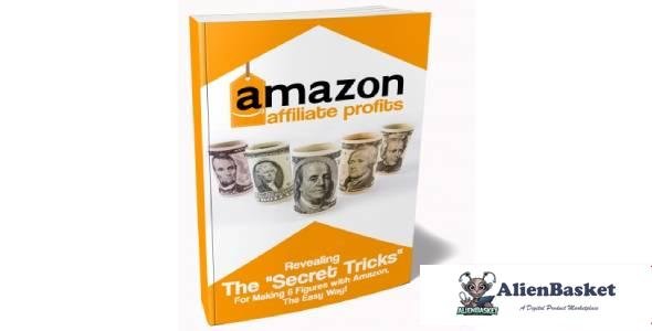 Amazon Affiliate Profits-4961