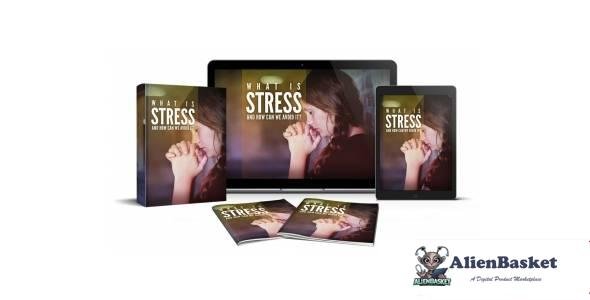 What Is Stress And How We Can Avoid It-6804