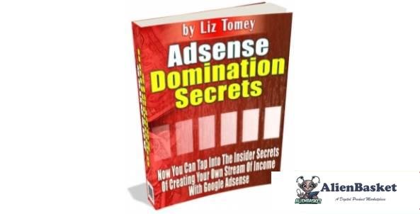 Adsense Domination Secrets-8525