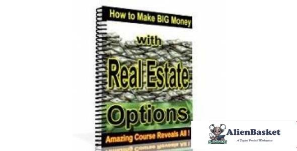 How To Make Big Money with Real Estate Options-8310