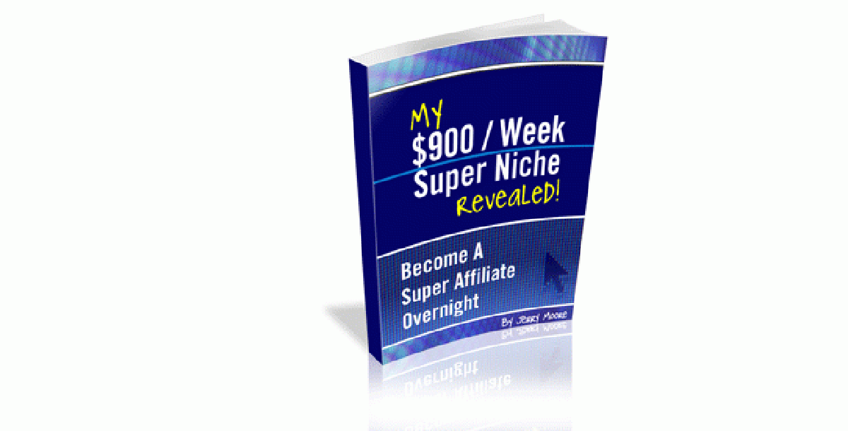 My $900/Week Super Niche Revealed-2767