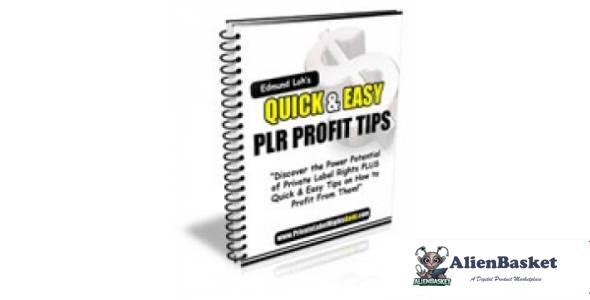 Quick & Easy PLR Profit Tips-7933