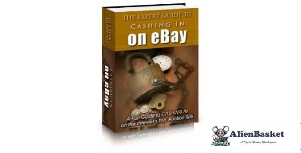 The Expert Guide To Cashing In On eBay-8594