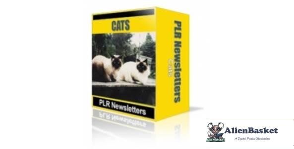 Cats Niche Newsletters-2811