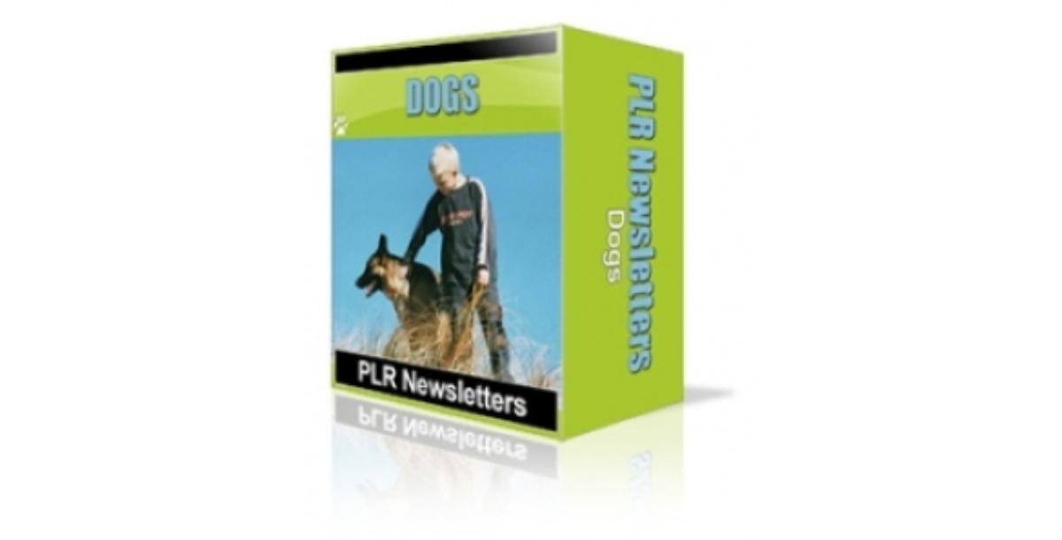 Dogs Niche Newsletters-2813