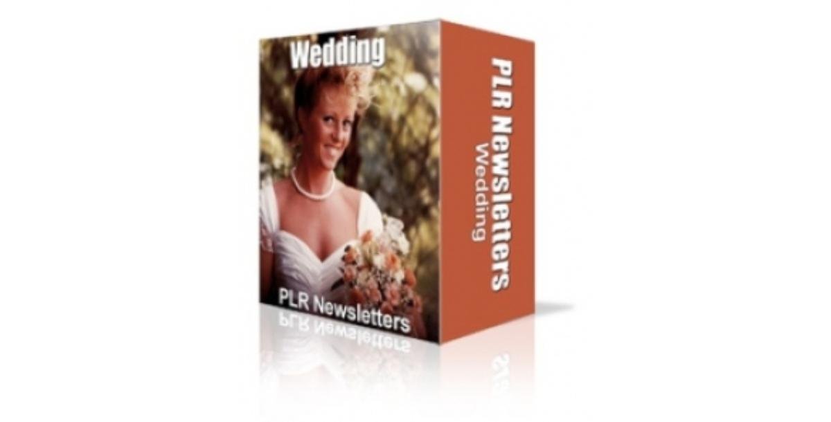 Wedding Niche Newsletters-2819