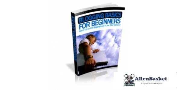 Blogging Basics For Beginners-2848