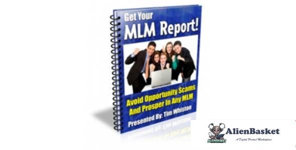 MLM Report-2481