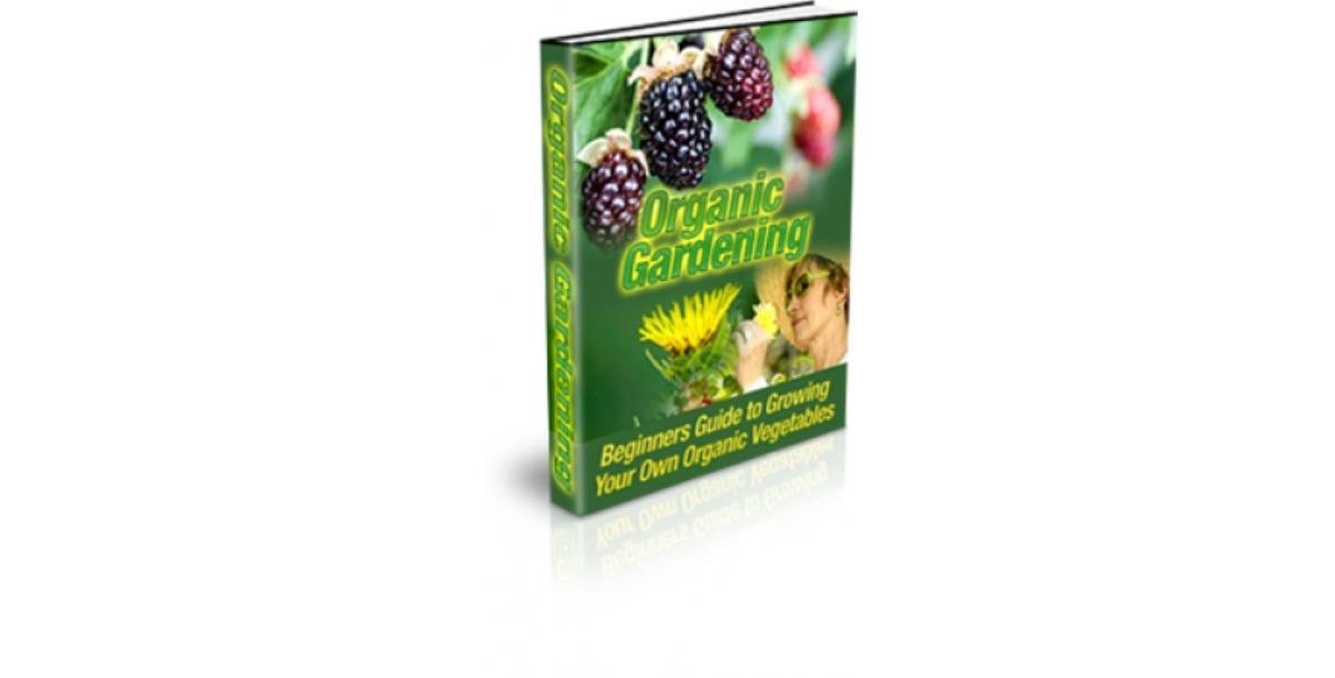 Organic Gardening-5307