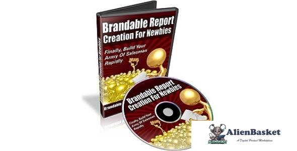 Brandable Report Creation For Newbies-352