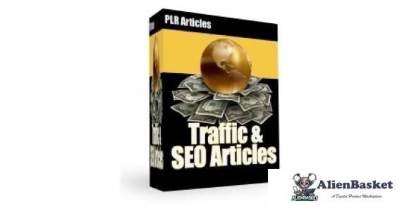 Traffic & SEO Articles-2964