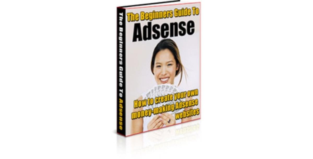 The Beginners Guide To Adsense-8359