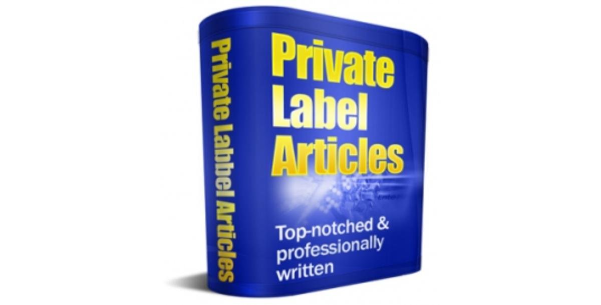 26 PLR Articles and Adsense Site-8721