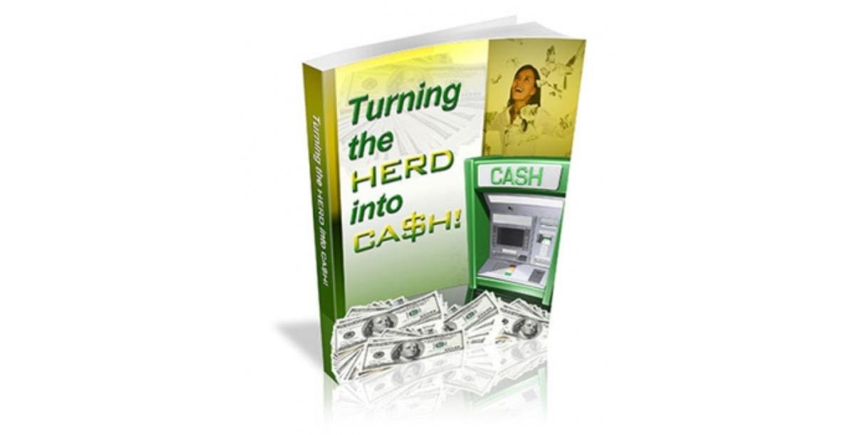Turning The Herd Into Cash!-8734