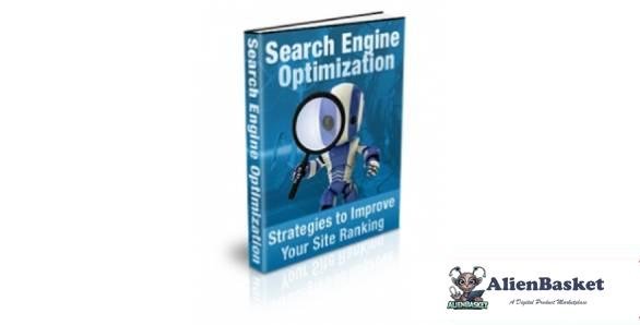 Search Engine Optimization-3051