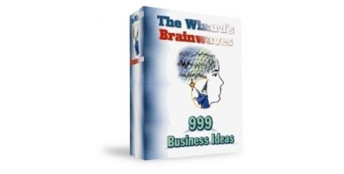 The Wizards Brainwaves : 999 Business Ideas-8365